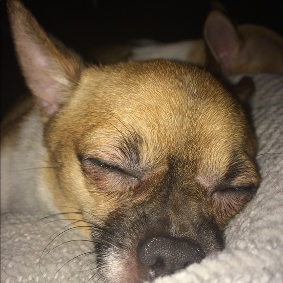 Meet your Posher, Vintage! - Picture 3 of 8